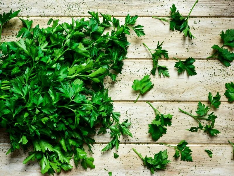 Maydanoz Lezzeti Nasıl Etkiler?