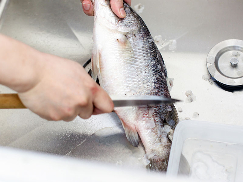balık temizleme