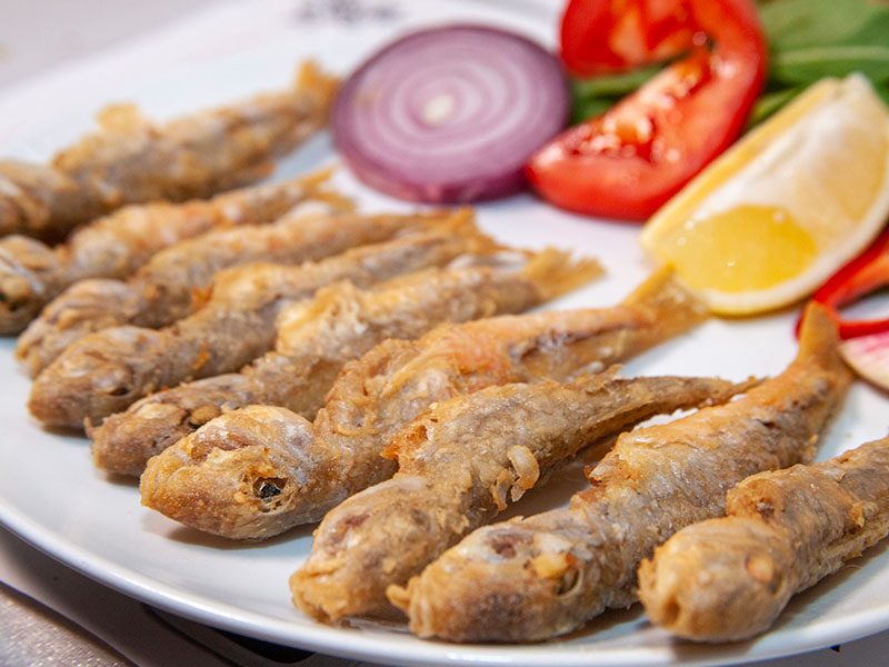 Sarıkanat İstavrit