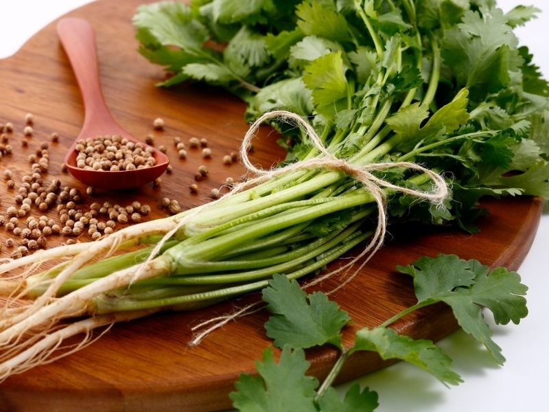 Kişnişi Dengeleyen Yardımcı Malzemeler