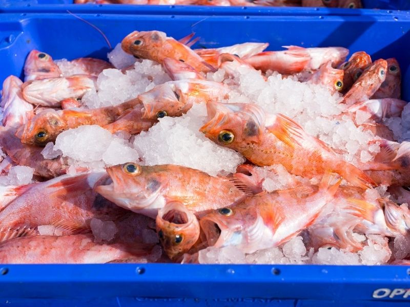 Besin Değeri İle Öne Çıkıyor