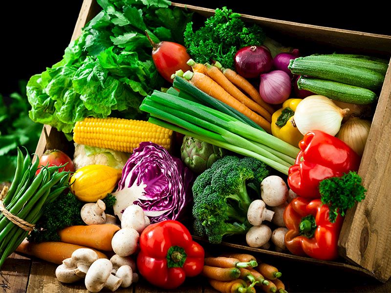 Sindirim sistemini destekler