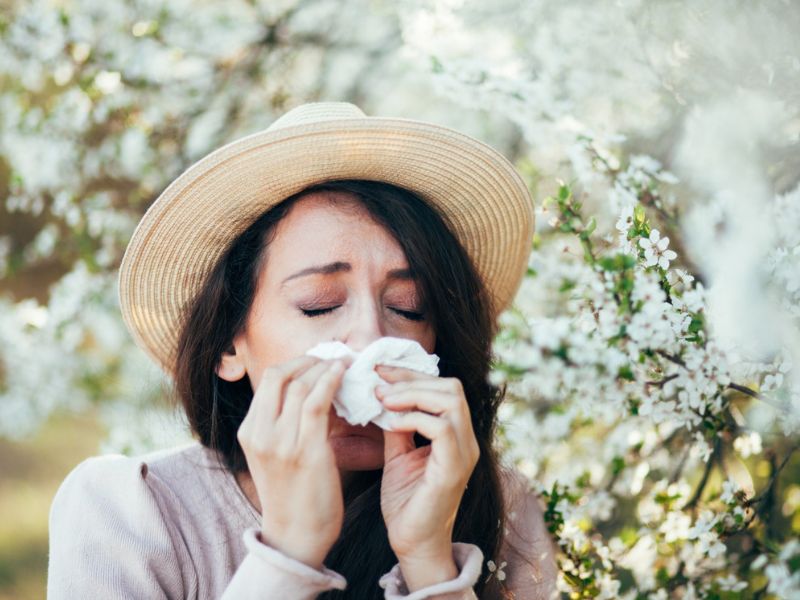 polen alerjisi