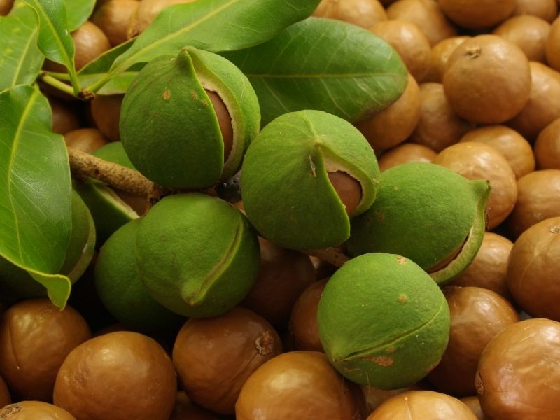 Saklama ve Muhafaza Önerileri