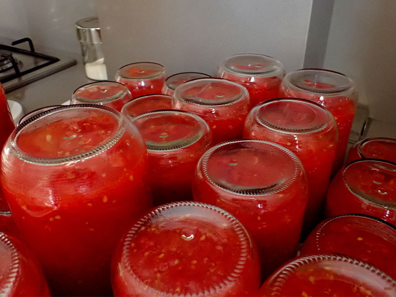 Salçanın Süzülmesi ve Sıkılması