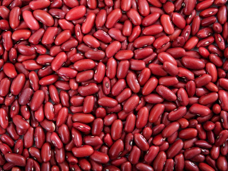 Taze ve kaliteli barbunya seçmek