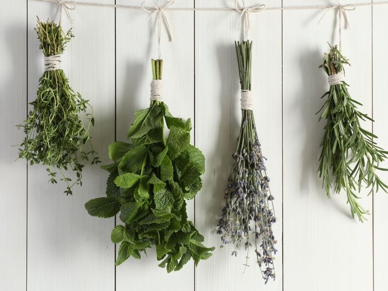 Otlar ve Yeşillikler