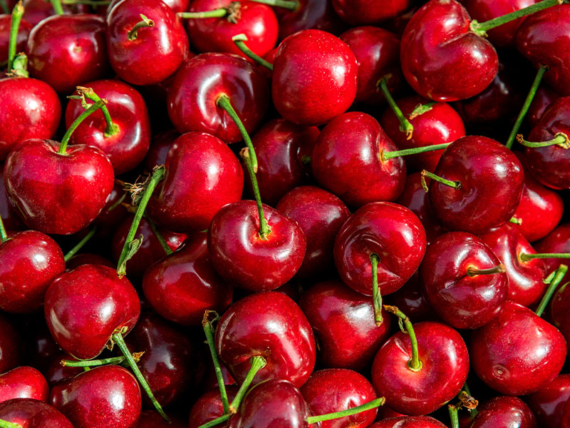 Toprak Temizliği ve Bahçe Bakımı