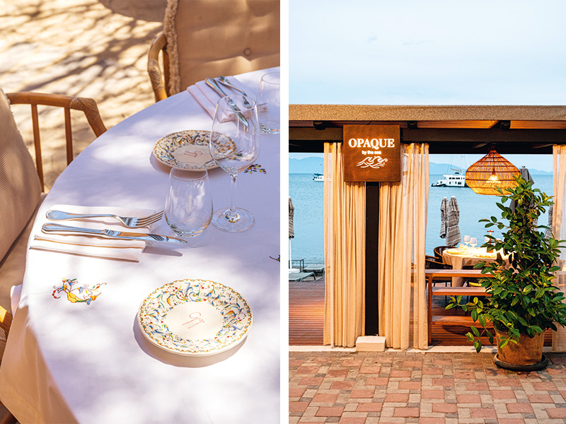 Yaz sezonu yenilikleri...