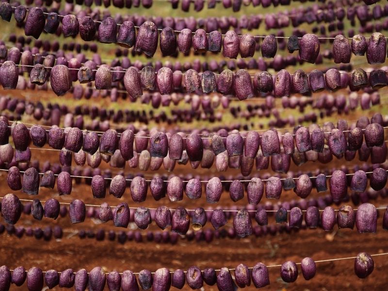 İpe Dizme ve Aralıklı Yerleştirme Teknikleri