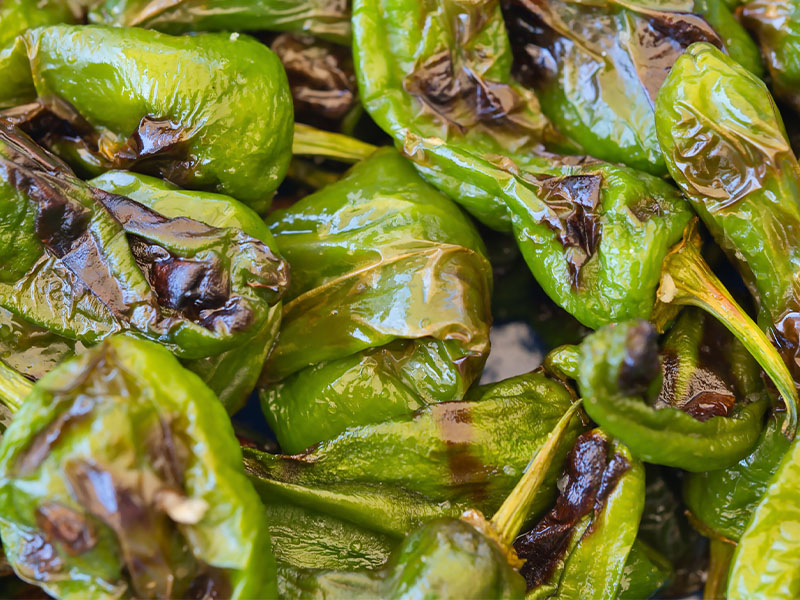 Fazla Yağı Alma ve Servis