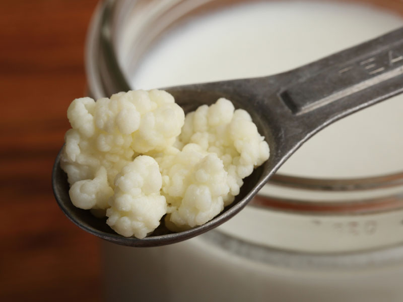 kefir 