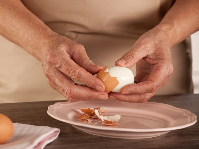 Yumurta (kabuklu veya haşlanmış)