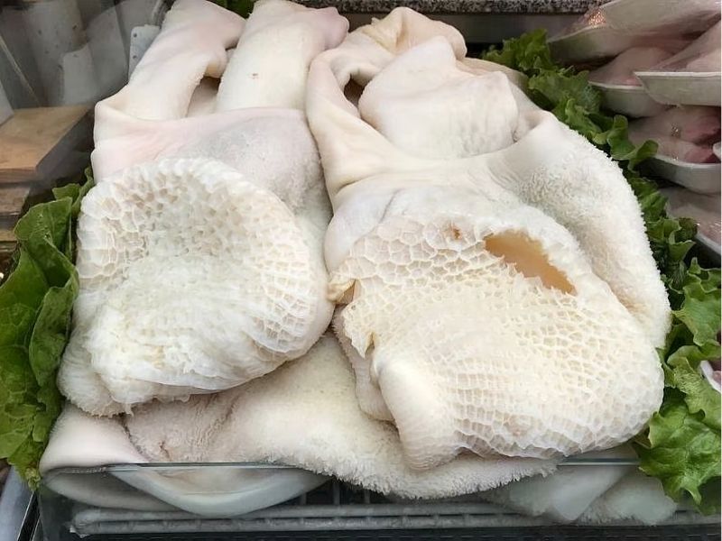 İşkembe Hayvanın Hangi Bölgesinden Elde Edilir?