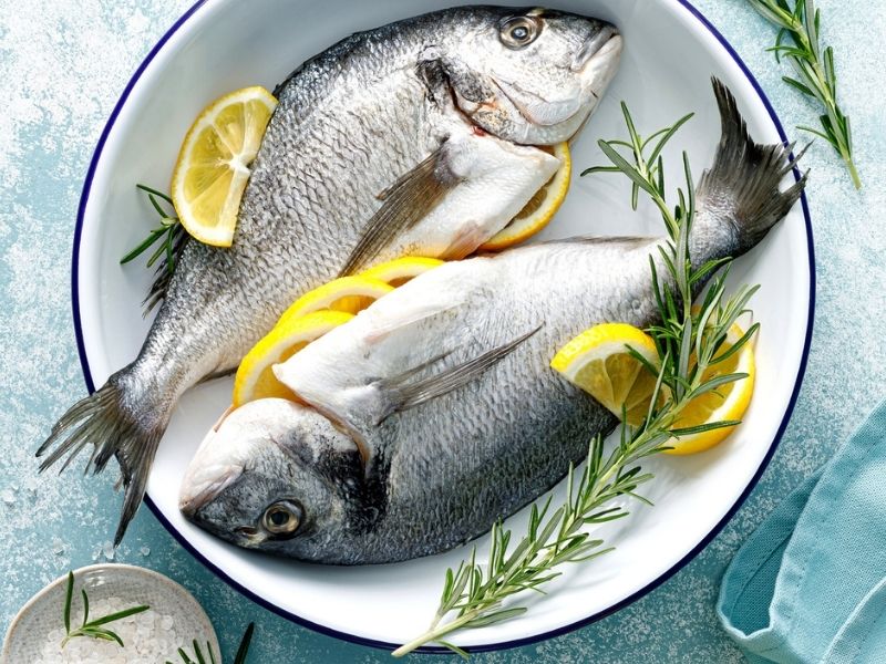 Çipuranın Küçük Evresi: Lidaki