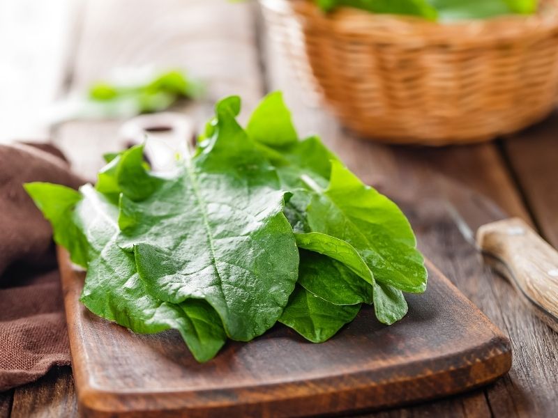 Evelik Otu Yemek İçin Nasıl Hazırlanır? 