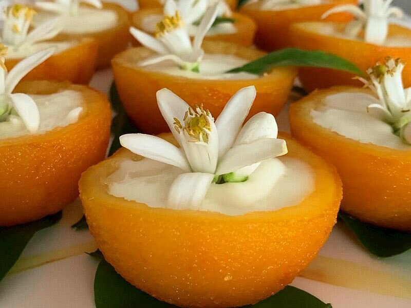 portakal çiçeği çanakları