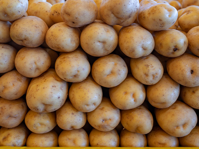 Soğanlardan Uzak Tutun