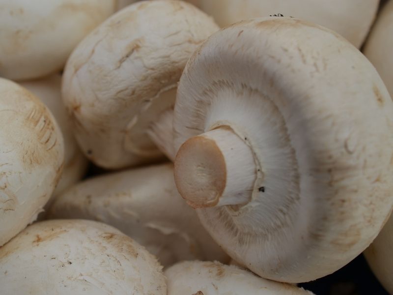 Gözenekli Dokunun Çevredeki Aromaları Emmesini Engelleyin