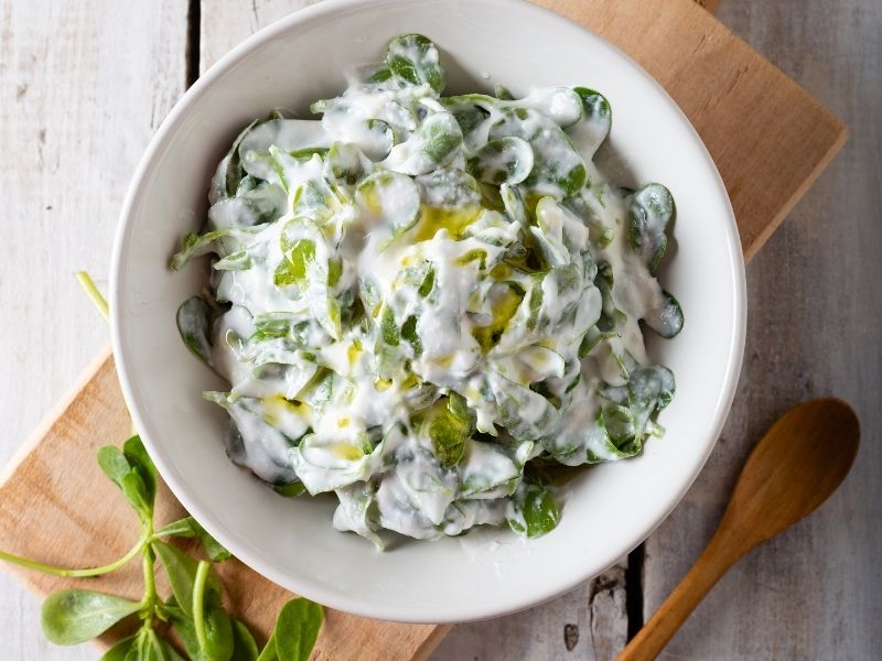 Yoğurtlu Semizotu Mezesi