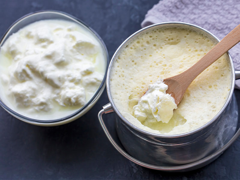 Yoğurdun hazırlanması