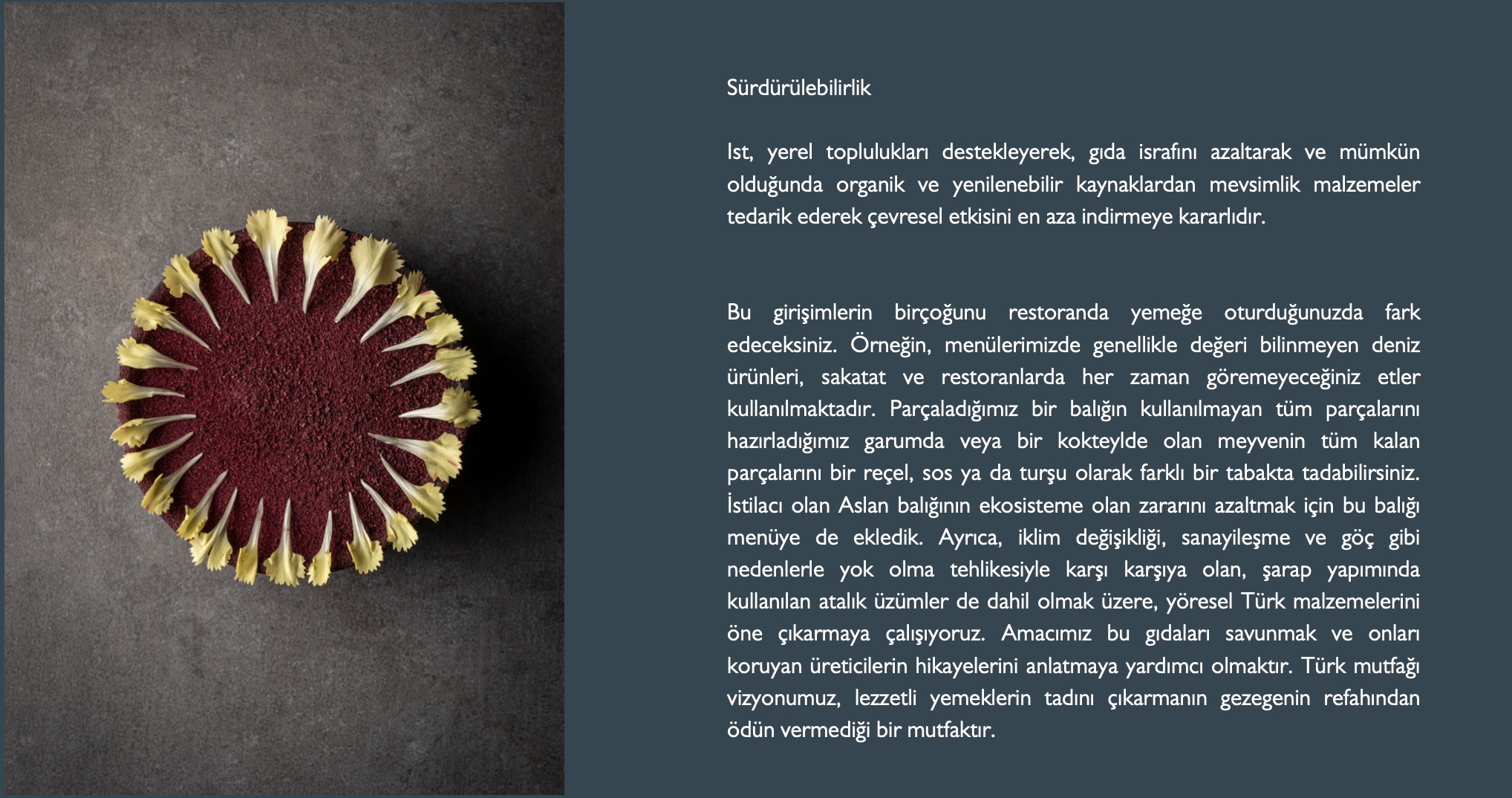 mekan