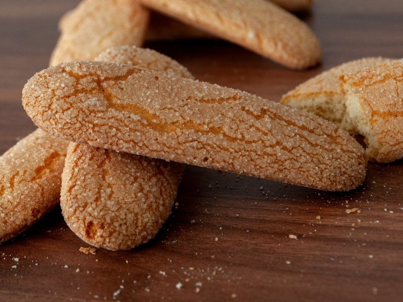 Sünger Gibi Doku İçin Yumurta Aşamasına Dikkat!