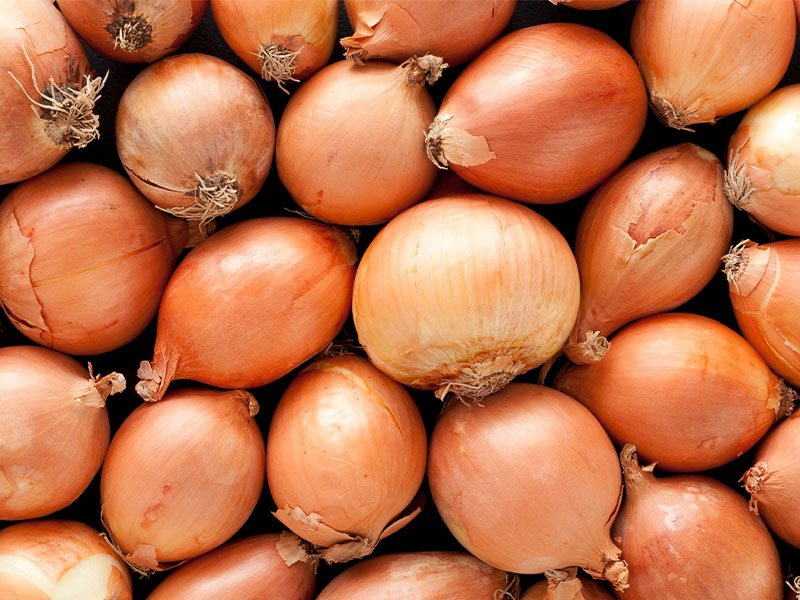 Temizlik ve Ayıklama