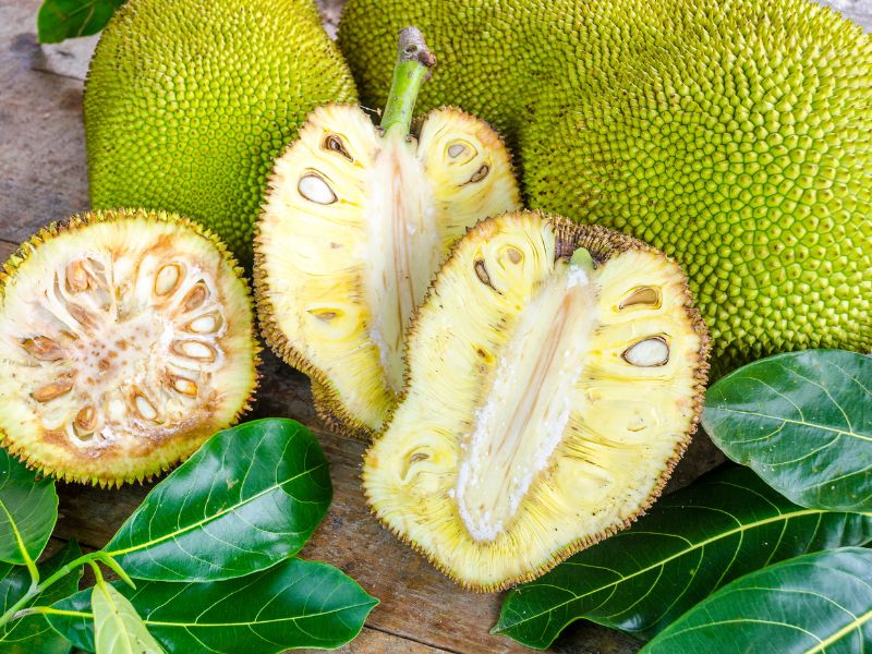 jackfruit