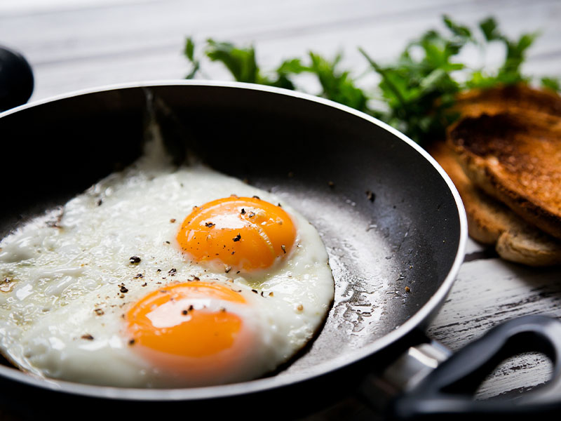 Yumurta – Protein Deposu