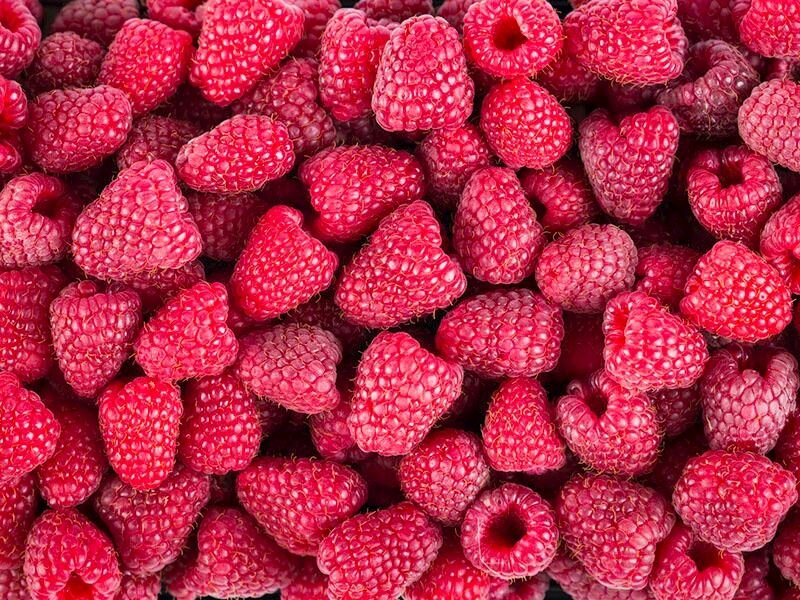 Böğürtlen, ahududu, yaban mersini