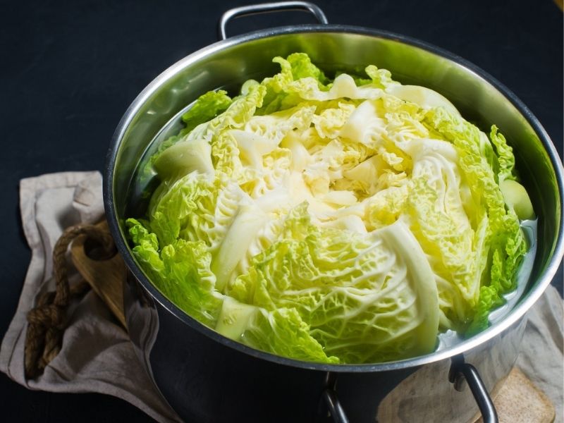 Yaprak dokusu ve damarlar