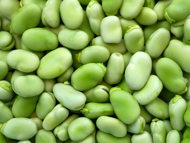 Lezzet ve Kıvam Dengesi Açısından Tuz