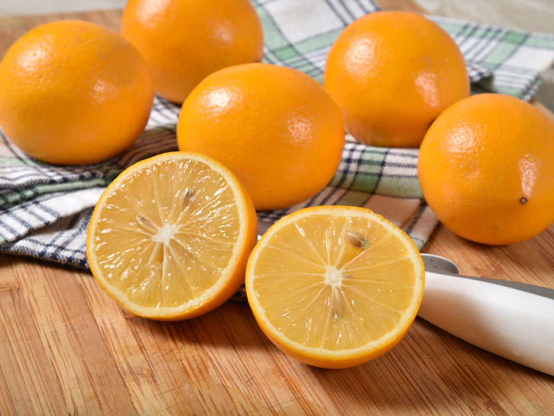 Ferahlık için limon