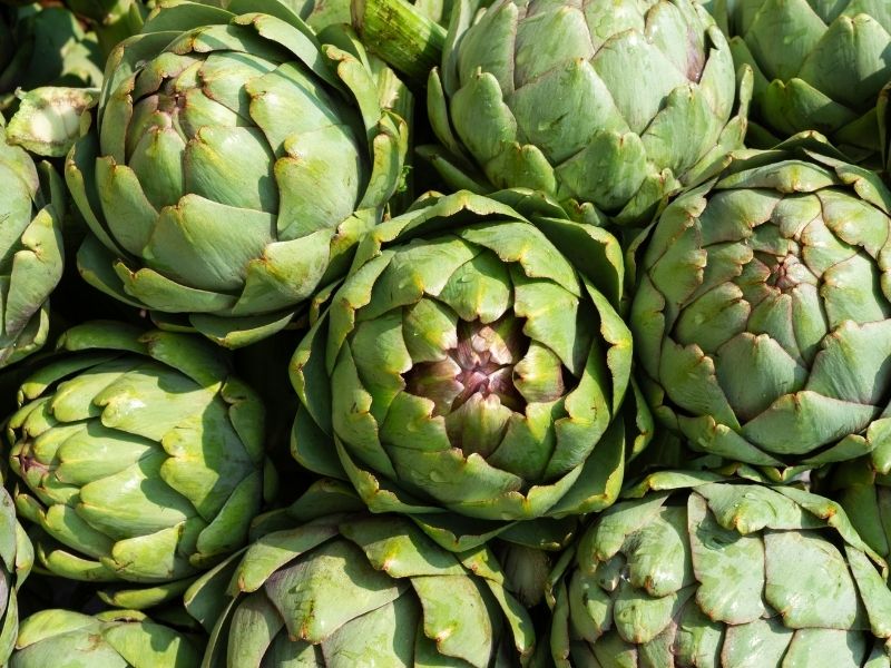 Enginarın Yeşil Yapraklarını Değerlendirin