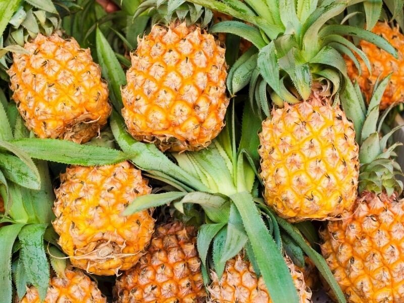 ananas