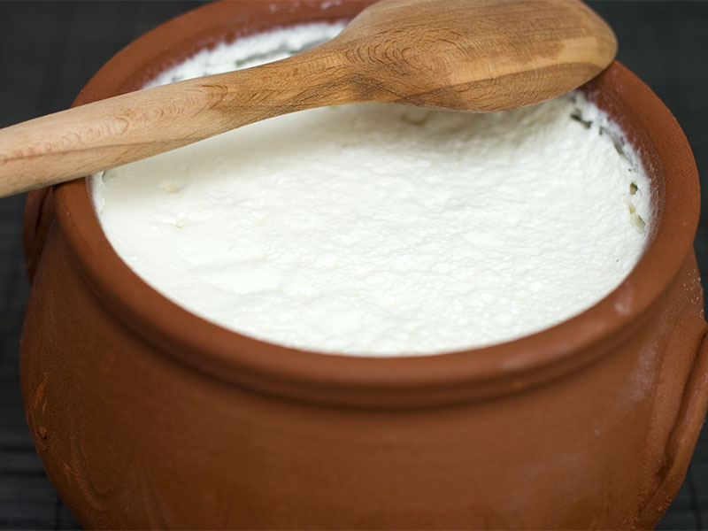 Mayalama süresi ve ortamı