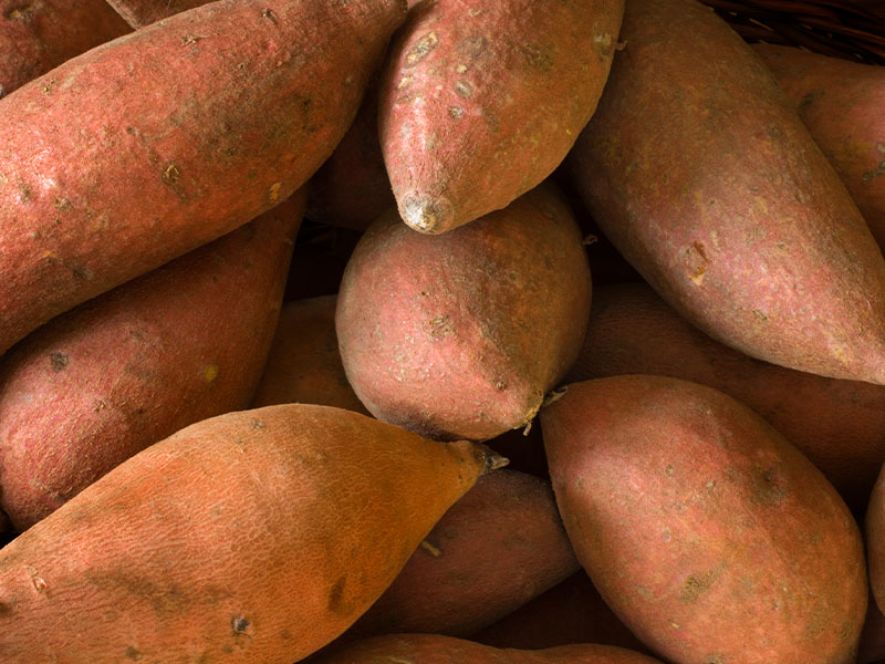 Besin değeri ve kullanım