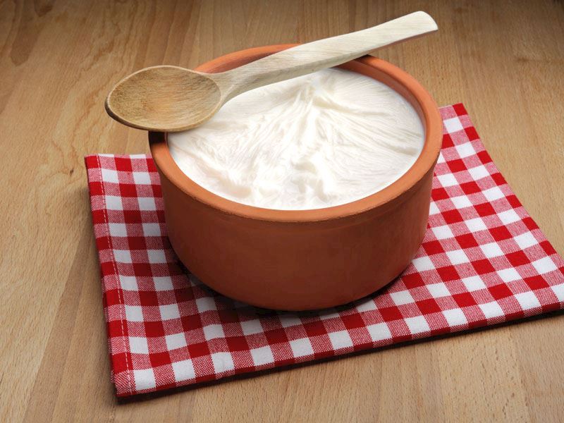 Vazgeçilmez Yiyeceği: Yoğurt