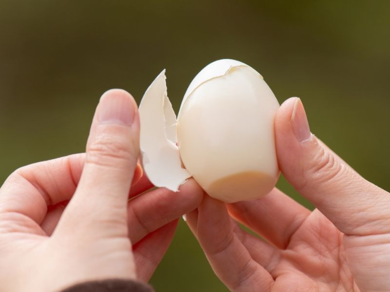 Kabuğun Daha Kolay Soyulmasına Yardımcı Olabilir