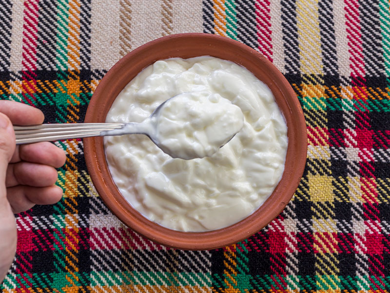 Mayalanma Süresi ve Ortamı