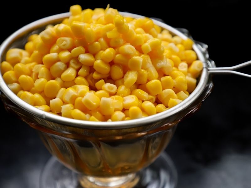 Kullanım Alanları Ve Soslama Önerileri