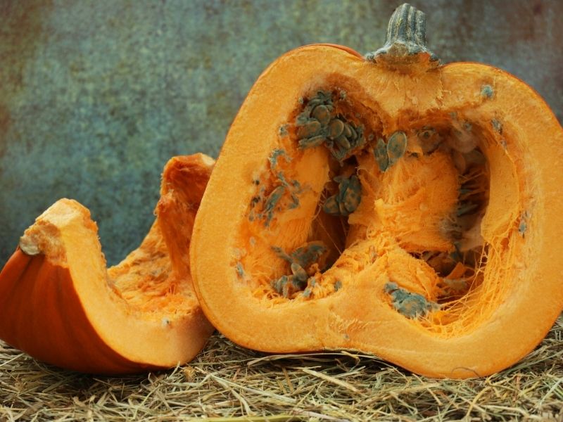 Küf veya Maya Belirtileri