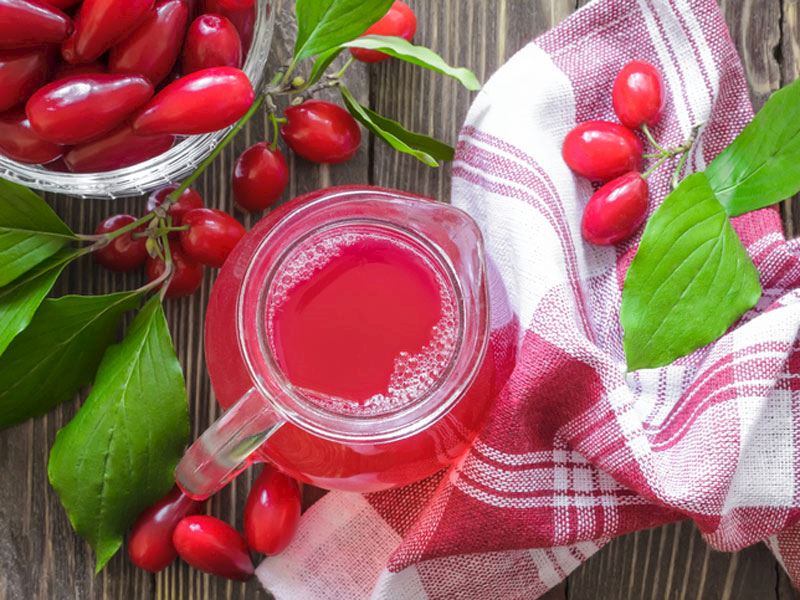 kızılcık şerbeti