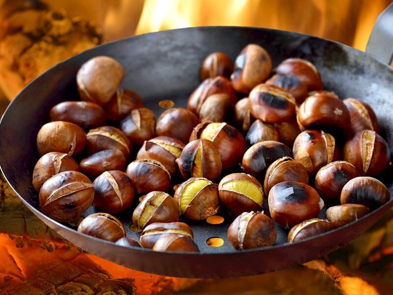 Haşlama Kestane