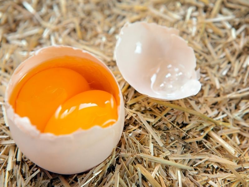 Mutfak Tartısında Yumurta Sarısı Ve Beyazının Hassas Ölçümü