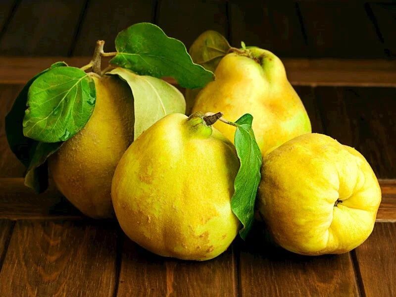 Ayvaları doğru doğramak