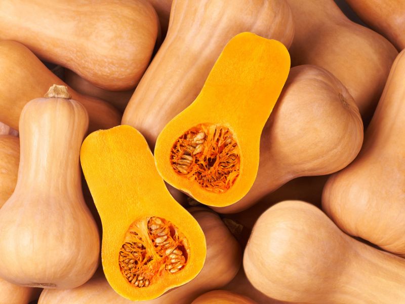 butternut squash