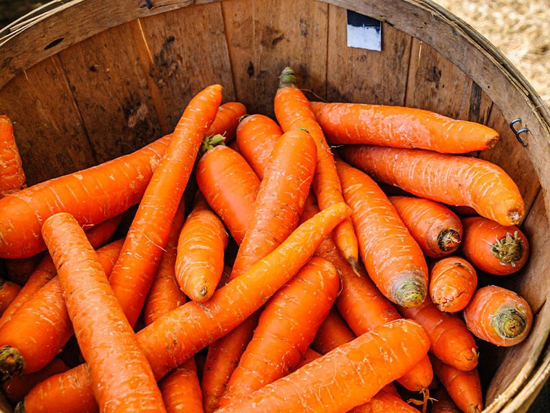 Hava Geçirmez Kaplarda Saklama