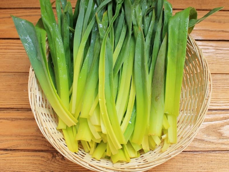 Körmen Otu Ayıklama Ve Temizleme İncelikleri